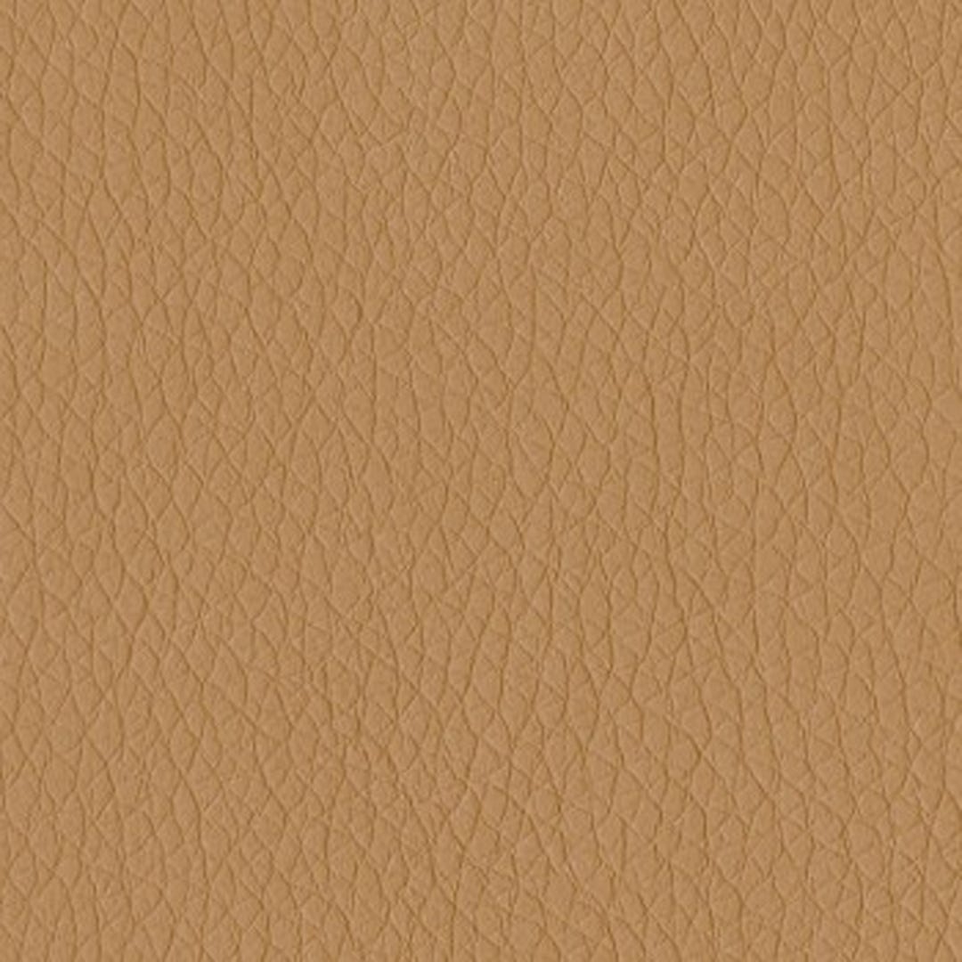 Dillon - Luggage