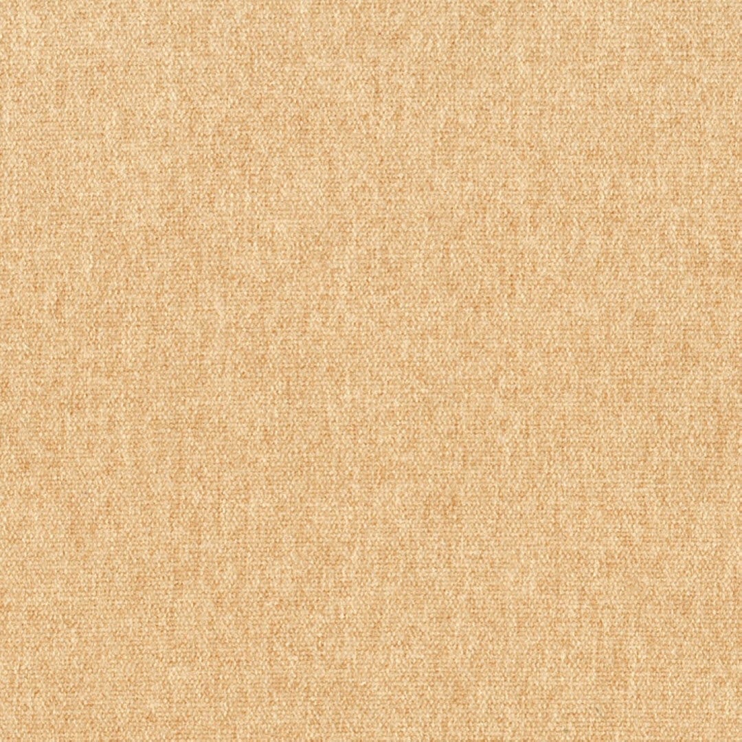 Dorset - Camel