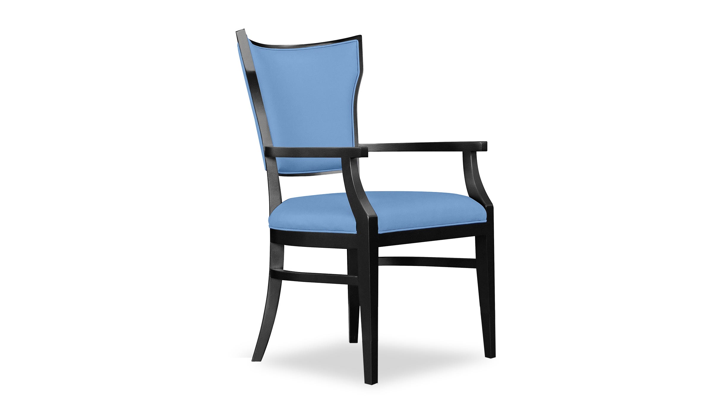 Dining / Activity Chair