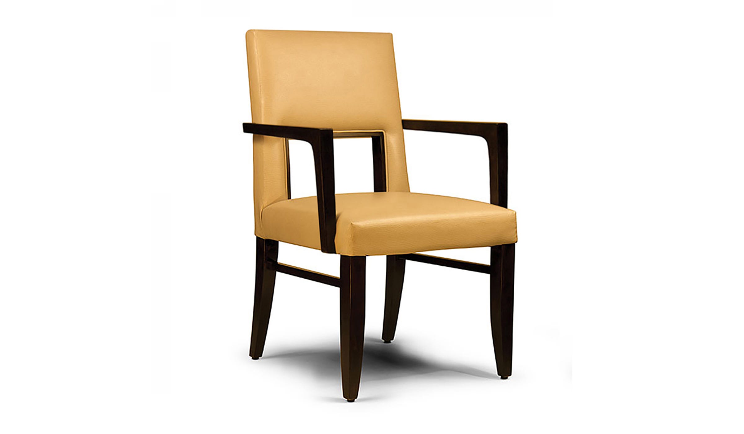 Dining / Activity Chair