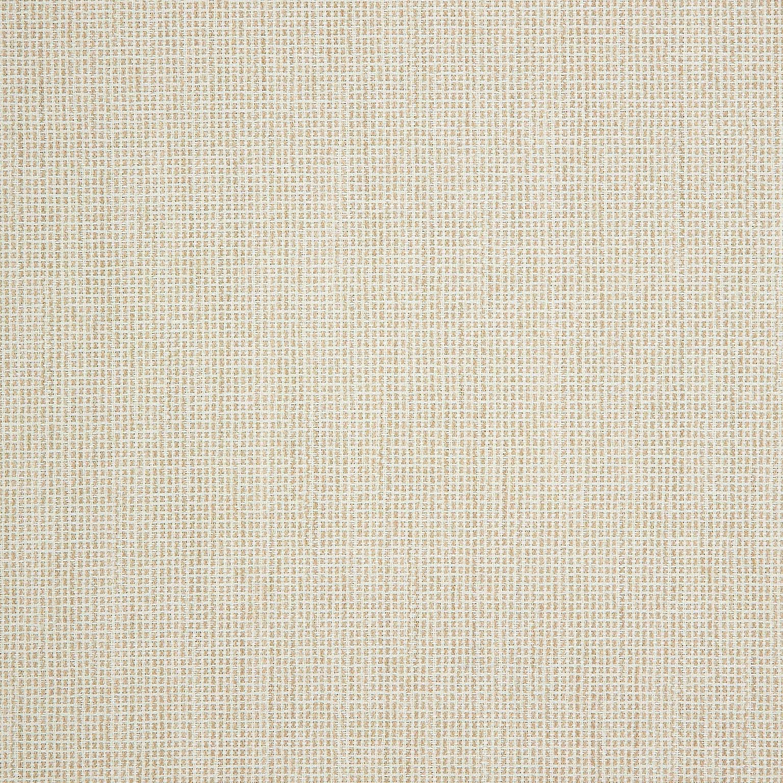 Demo Parchment