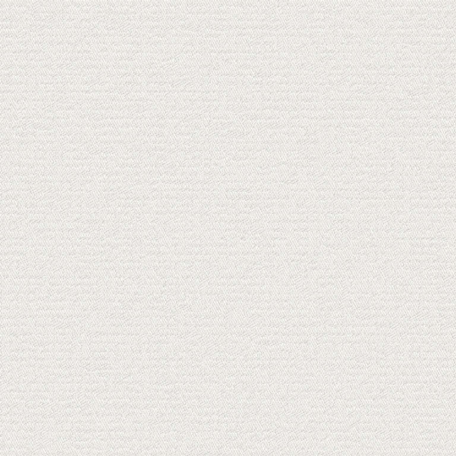 Static Snow