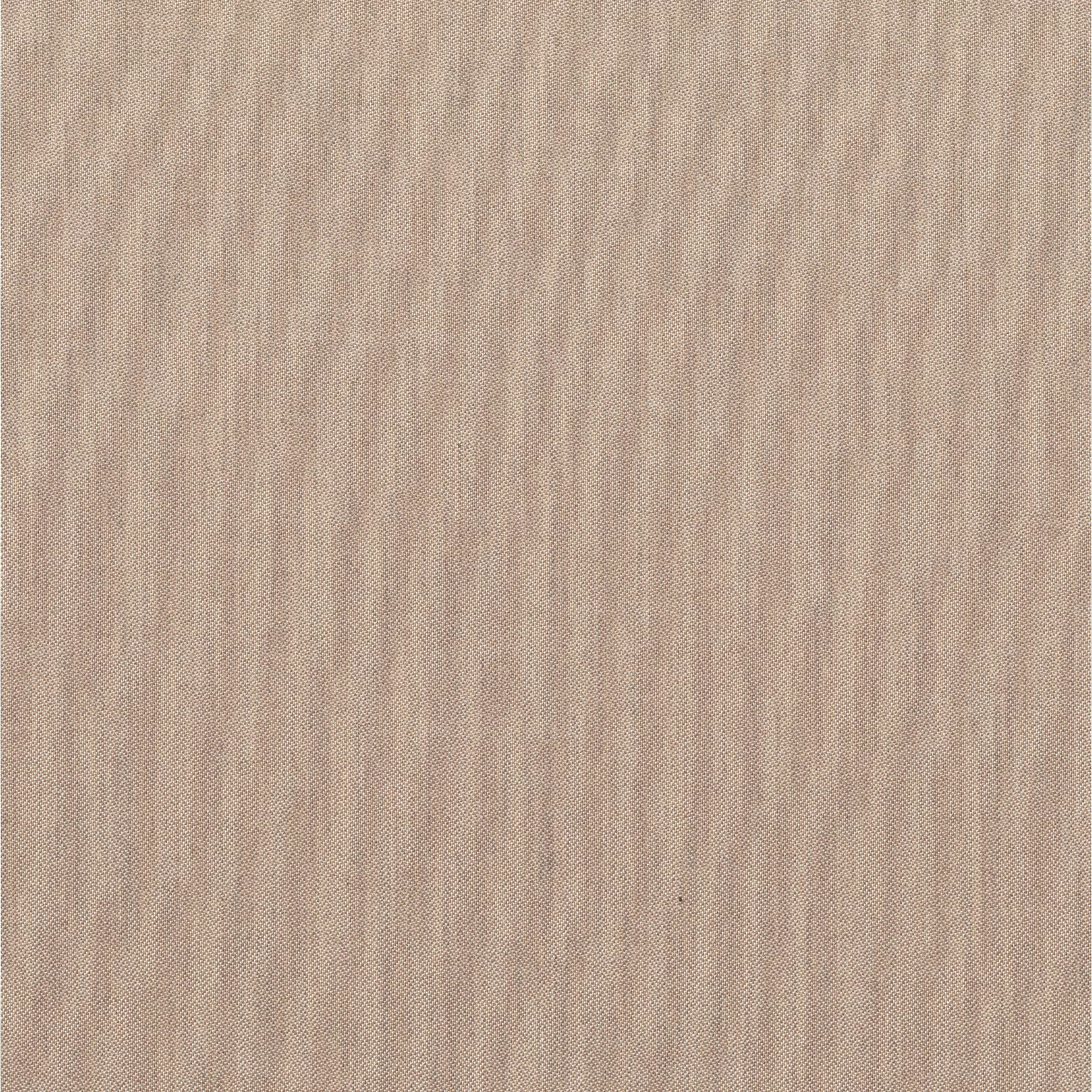 Asgard Walnut